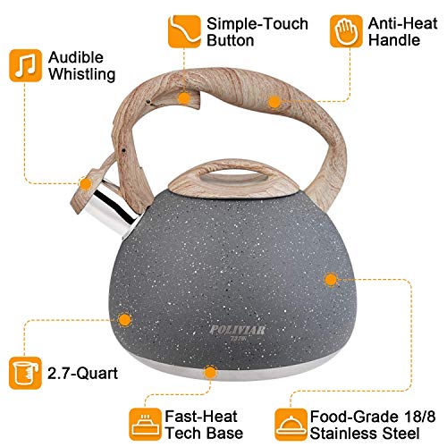 Poliviar Tea Kettle with Natural Stone Finish Poliviar Tea Kettle with Natural Stone Finish